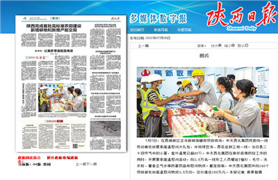 東升國際西北集团珑樾府项目高温慰问——《陕西日报》